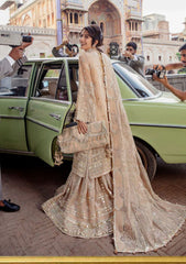 Formal Dress - Mohsin Naveed Ranjha - Zarlish - D#12 available at Saleem Fabrics Traditions