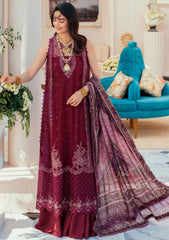 Formal Dress - Noor - Saadia Asad - Chiffon Laserkari - D#6 available at Saleem Fabrics Traditions