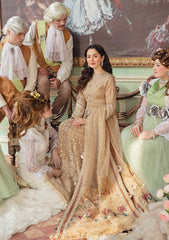 Formal Dress - Nureh - Luxury - CINDERALLA - NL#28 available at Saleem Fabrics Traditions