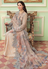 Formal Dress - Nureh - Luxury - ROSE CLAIRE - NL#30 available at Saleem Fabrics Traditions