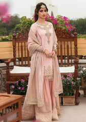 Formal Dress - Qalamkar - Khaab - V02 - Mehek - NF#6 available at Saleem Fabrics Traditions