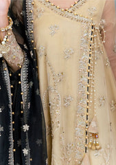 Formal Dress - Rang Rasiya - Ritzier - NISHA by Saleem Fabrics PK