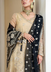 Formal Dress - Rang Rasiya - Ritzier - NISHA by Saleem Fabrics PK