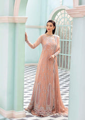 Formal Dress - Roheenaz - Kalidar - RCH-22-07 available at Saleem Fabrics Traditions