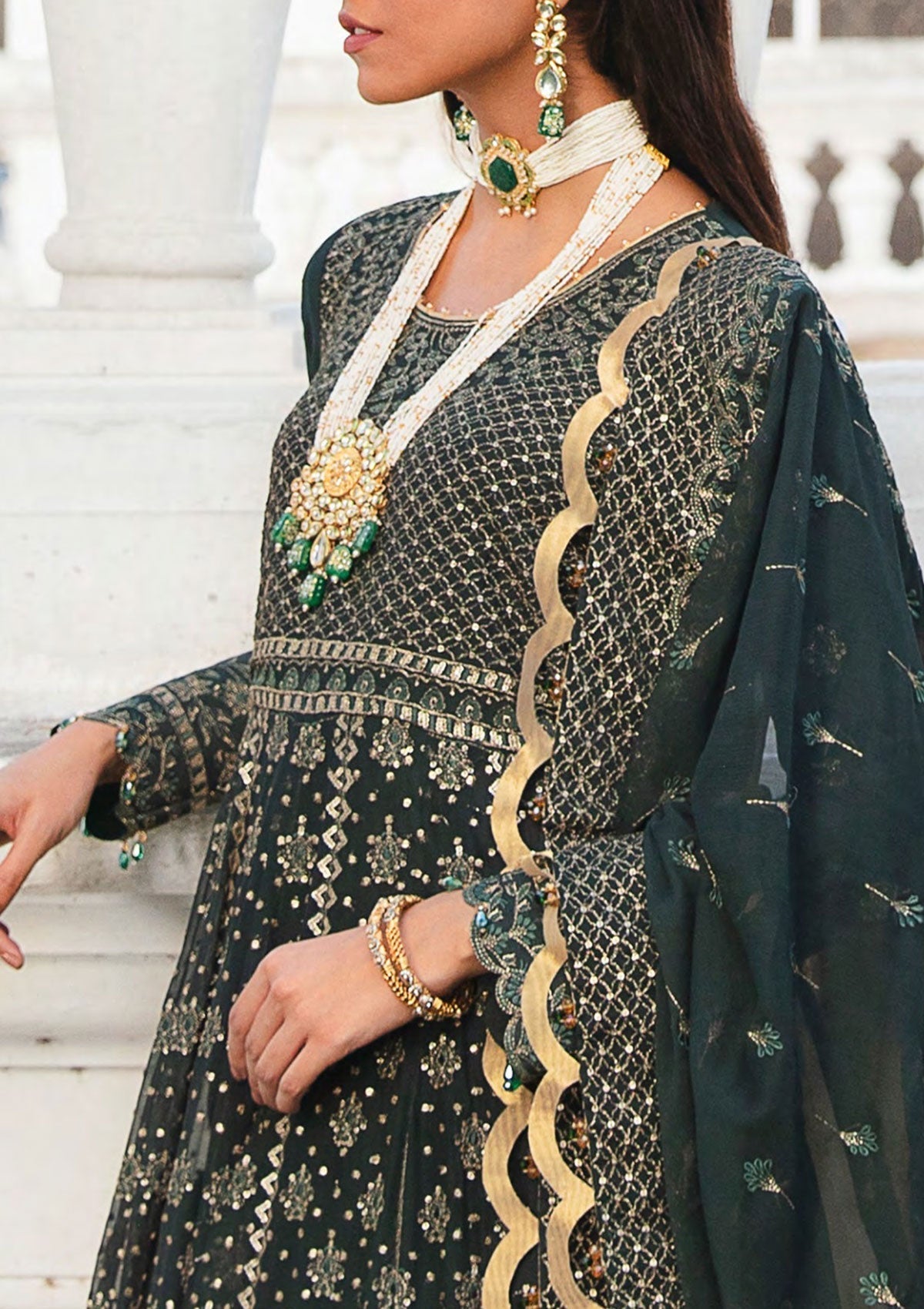 Formal Dress - Salitex - Retro Luxury Chiffon - HC#00036 (Charlotte) available at Saleem Fabrics Traditions