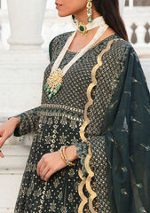 Formal Dress - Salitex - Retro Luxury Chiffon - HC#00036 (Charlotte) available at Saleem Fabrics Traditions