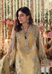 Formal Dress - Zaha - Gossamer - ASTRELLA - ZC22-05 available at Saleem Fabrics Traditions