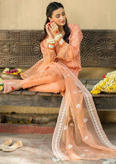 Lawn Collection - Lakhany - Eid Edit - EDE-7113 available at Saleem Fabrics Traditions