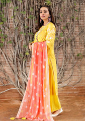 Lawn Collection - Lakhany - Spring - V02 - SEC#3024 available at Saleem Fabrics Traditions