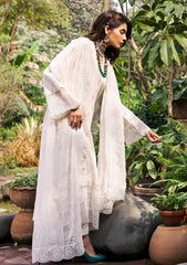 Lawn Collection - Motifz - Schiffli - D#3977 | ZOHRA