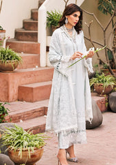 Lawn Collection - Motifz - Schiffli - D#3981 | NAZ