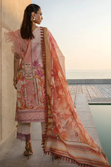 Lawn Collection - Rang Rasiya - S/S - FLD#6 | AMELIA