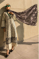 Lawn Collection - Rang Rasiya - S/S - FLD#11 | LVY