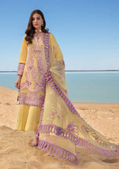 Lawn Collection - Rang Rasiya - S/S - LLD#5 | ISABELLA