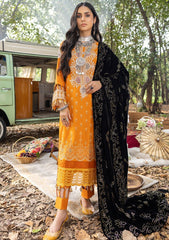 Winter Collection - AL Zohaib - Wintry Breeze - D#6 available at Saleem Fabrics Traditions