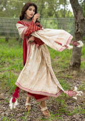 Winter Collection - Charizma - Dhage - Woven Shawl - CEW#01 available at Saleem Fabrics Traditions