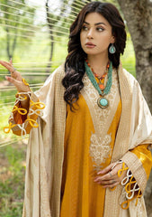 Winter Collection - Charizma - Dhage - Woven Shawl - CEW#03 available at Saleem Fabrics Traditions