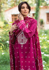 Winter Collection - Cross Stitch - Sukoon - Cotton Satin - D#11 available at Saleem Fabrics Traditions