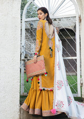 Winter Collection - Hussain Rehar - Karandi - PARAS available at Saleem Fabrics Traditions