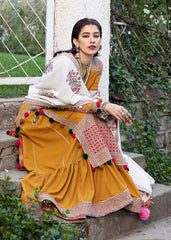 Winter Collection - Hussain Rehar - Karandi - PARAS available at Saleem Fabrics Traditions