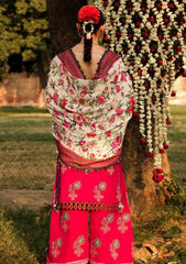 Winter Collection - Hussain Rehar - Phoolan Devi - Kamelia available at Saleem Fabrics Traditions