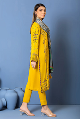 Winter Collection - Lakhanay - Karandi - WEC-EA-383 available at Saleem Fabrics Traditions