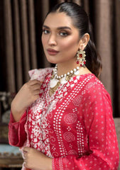 Winter Collection - Manizay - Premium D/P - Chunri - D#04 available at Saleem Fabrics Traditions