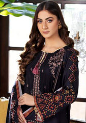 Winter Collection - Noor Jahan - Mina Hassan - D#1 available at Saleem Fabrics Traditions