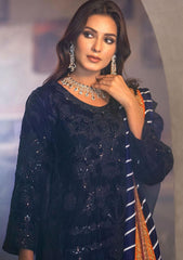 Winter Collection - Noorma Kaamal - Heer - Velvet - NKV#06 available at Saleem Fabrics Traditions