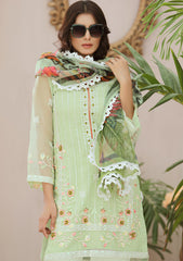 Winter Collection - Noorma Kaamal - Tehwaar - Festive - NKOT#02 available at Saleem Fabrics Traditions