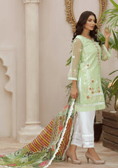 Winter Collection - Noorma Kaamal - Tehwaar - Festive - NKOT#02 available at Saleem Fabrics Traditions