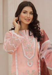 Winter Collection - Noorma Kaamal - Tehwaar - Festive - NKOT#03 available at Saleem Fabrics Traditions