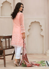 Winter Collection - Noorma Kaamal - Tehwaar - Festive - NKOT#03 available at Saleem Fabrics Traditions