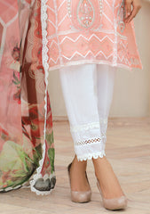 Winter Collection - Noorma Kaamal - Tehwaar - Festive - NKOT#03 available at Saleem Fabrics Traditions