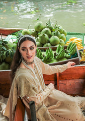 Winter Collection - Nureh - Bazaar - Chikankari - NW#76 available at Saleem Fabrics Traditions