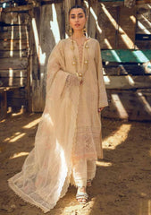 Winter Collection - Nureh - Karavan - NW#50 available at Saleem Fabrics Traditions