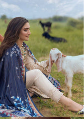 Winter Collection - Nureh - Maya - Heerni - Linen - NW#61 available at Saleem Fabrics Traditions