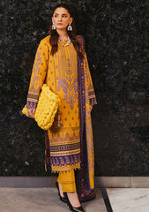 Winter Collection - Rang Rasiya - Dosti - D#33 available at Saleem Fabrics Traditions