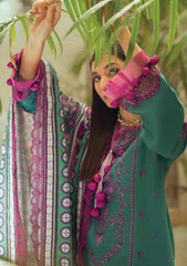 Winter Collection - Roheenaz - Winter Edit's - RNZ#1 A (Shaina) available at Saleem Fabrics Traditions