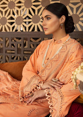 Winter Collection - Shaista - Khoobseerat - Karandi - SKK#376 available at Saleem Fabrics Traditions