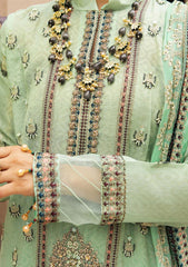 Winter Collection - Shaista - Masuri Hand Made - D#361 available at Saleem Fabrics Traditions