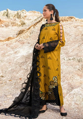 Winter Collection - Woven Palace - Zemira - 2pc - MU#004 available at Saleem Fabrics Traditions