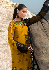 Winter Collection - Woven Palace - Zemira - 2pc - MU#004 available at Saleem Fabrics Traditions