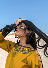 Winter Collection - Woven Palace - Zemira - 2pc - MU#004 available at Saleem Fabrics Traditions