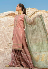 Winter Collection - Woven Palace - Zemira - 2pc - Pk#001 available at Saleem Fabrics Traditions