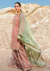 Winter Collection - Woven Palace - Zemira - 2pc - Pk#001 available at Saleem Fabrics Traditions