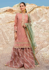 Winter Collection - Woven Palace - Zemira - 2pc - Pk#001 available at Saleem Fabrics Traditions