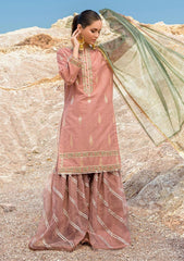 Winter Collection - Woven Palace - Zemira - 2pc - Pk#001 available at Saleem Fabrics Traditions