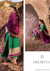 Winter Collection - Zainab Chottani - Winter Shawls - D#5 available at Saleem Fabrics Traditions