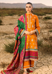 Winter Collection - Zainab Chottani - Winter Shawls - D#6 available at Saleem Fabrics Traditions